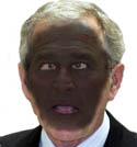 President George W. Bush's polls went klabooey all over his face.