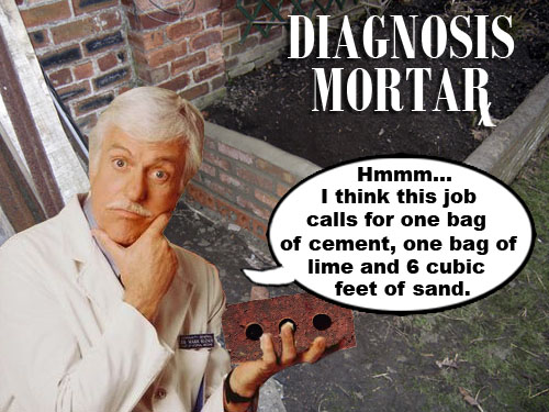 Rumor has it that this show was named Diagnosis Mortar when it was originally conceived by Hollywood writers. The show would revolve around a respected L.A. doctor, who moonlights as a masonry advisor for celebrities. Fortunately, television legend, Dick Van Dyke, realized the lameness of the premise and suggested that his character, Dr. Sloan, moonlight as a detective solving some of L.A.'s toughest murders. The result was a classic television series that lasted from 1993 to 2001. This despite having Scott Baio on the show for two years. The idea for Diagnosis Mortar was resurrected in 2004 by Fox with star Bob Villa, but was cancelled half way through the show's first commercial break.
