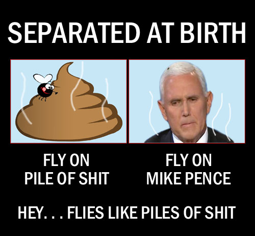 The image of a fly sitting on Vice President and modern day Puritan Mike Pence's head during the VP debate bears an uncanny resemblance to a fly sitting on a pile of shit.