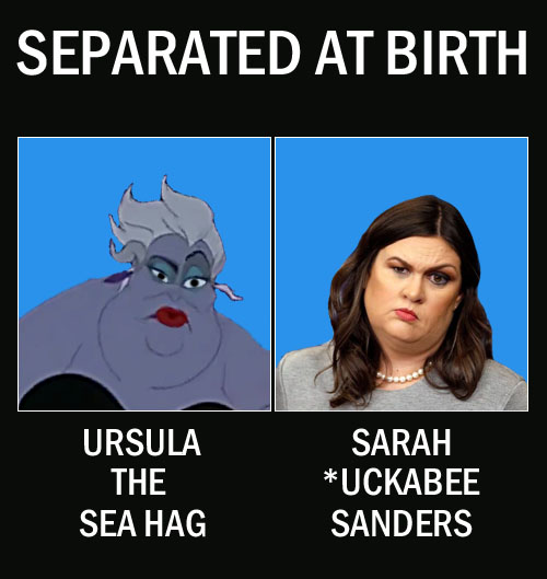 Trump administration Press Secretary and pathological prevaricator, Sarah *uckabee Sanders, bears a striking resemblance to beloved cartoon sea hag, Ursula.