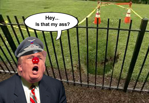 America's CEO/Dictator, Donald Trump, ponders whether or not the sinkhole on the White House lawn is indeed his ass.