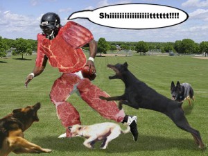 Judges decided that as punishment for running a brutal, inhumane dog fighting ring, football star Michael Vick, be fitted with a specially made 'meat suit' and be let loose to frolic with a pack of starving, ill-tempered, attack dogs